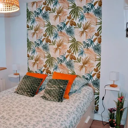 Dormir A Brioude - Appartement 'Esprit Nature' Exterior foto