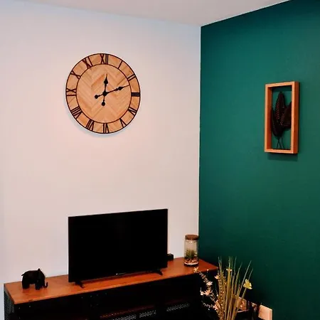 Dormir A Brioude - Appartement 'Esprit Nature' Exterior foto